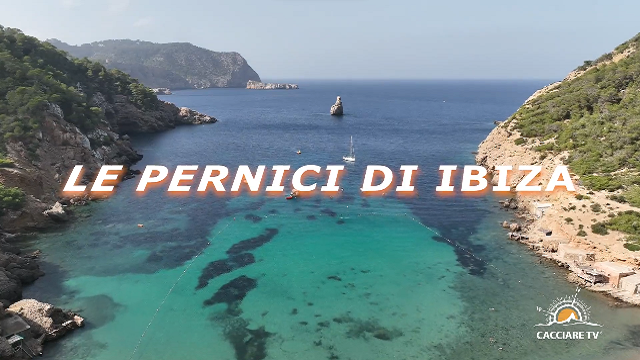 TRAILER – LE PERNICI DI IBIZA